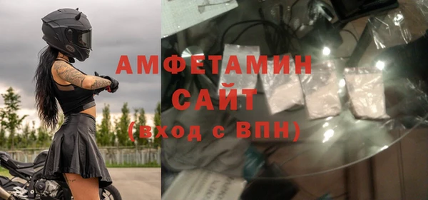 ГАЛЛЮЦИНОГЕННЫЕ ГРИБЫ Ельня