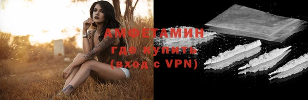 ГАЛЛЮЦИНОГЕННЫЕ ГРИБЫ Ельня