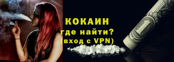 СК Елизово