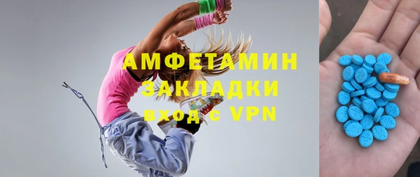 ГАЛЛЮЦИНОГЕННЫЕ ГРИБЫ Ельня