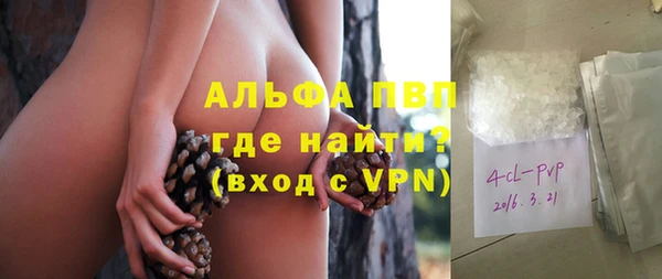 СК Елизово