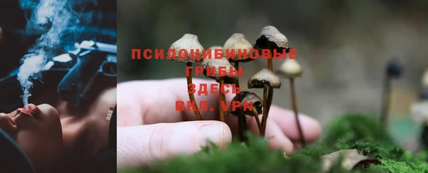 круглые Елабуга