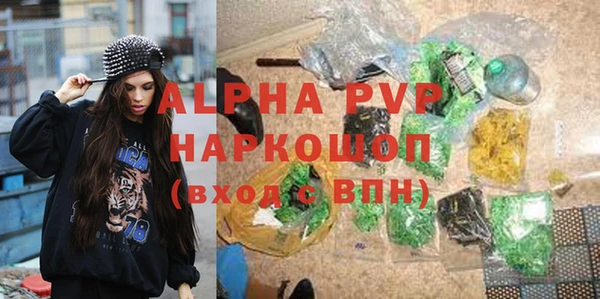 СК Елизово