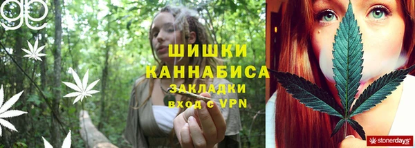 ГАЛЛЮЦИНОГЕННЫЕ ГРИБЫ Ельня