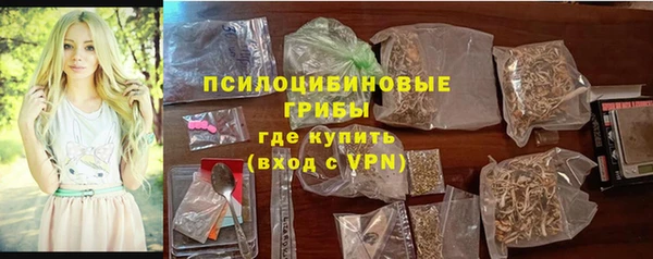СК Елизово