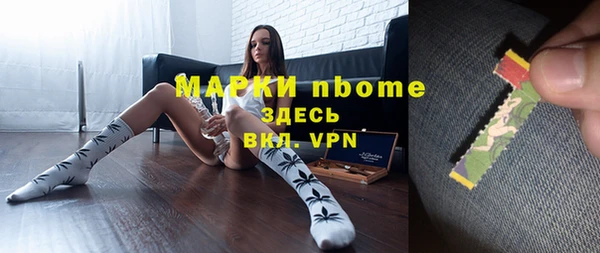 СК Елизово
