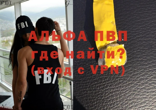 ГАЛЛЮЦИНОГЕННЫЕ ГРИБЫ Ельня