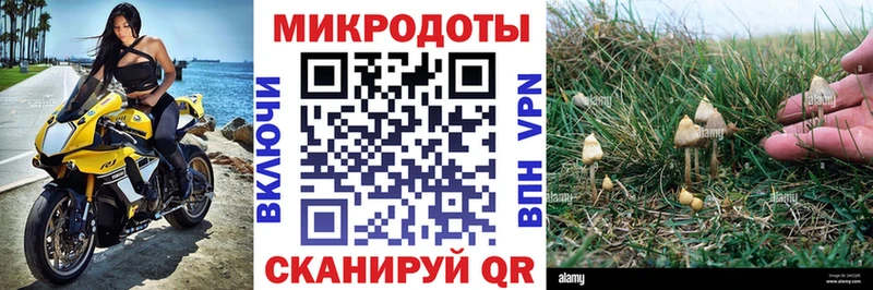 Псилоцибиновые грибы ЛСД  где найти   Сенгилей 